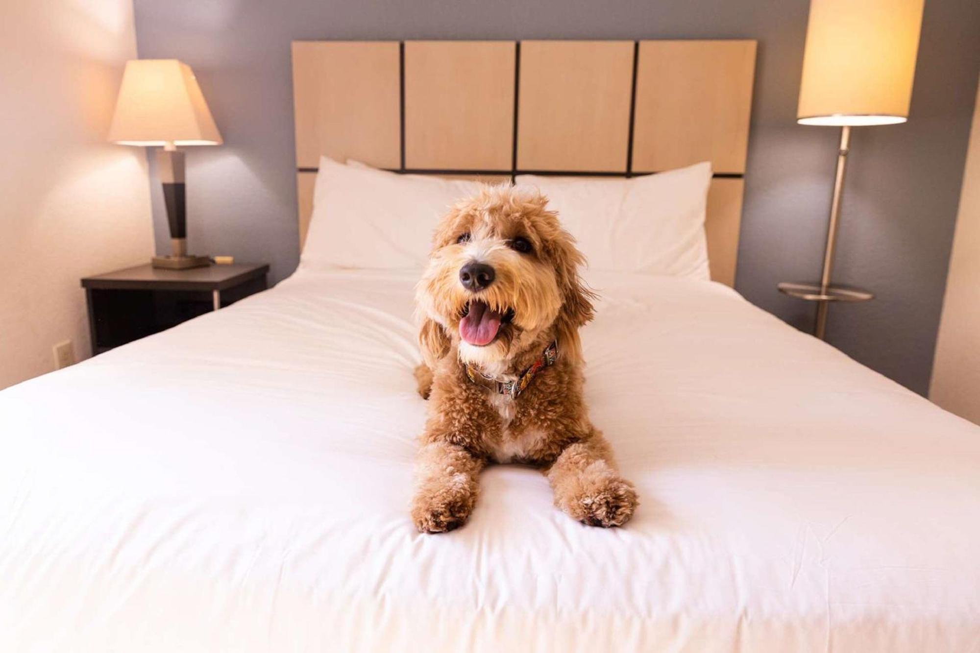 Sonesta Simply Suites Denver West Federal Center レイクウッド エクステリア 写真
